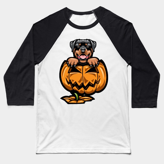 Halloween Rottweiler Pumpkin Baseball T-Shirt by IPRINT
